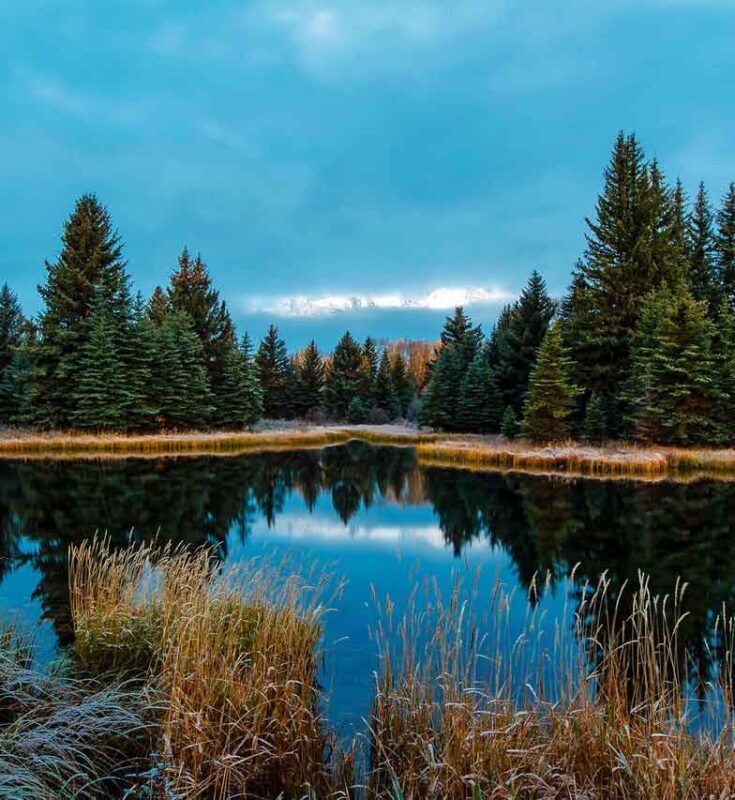 Interesting Ways To Study Climate Change